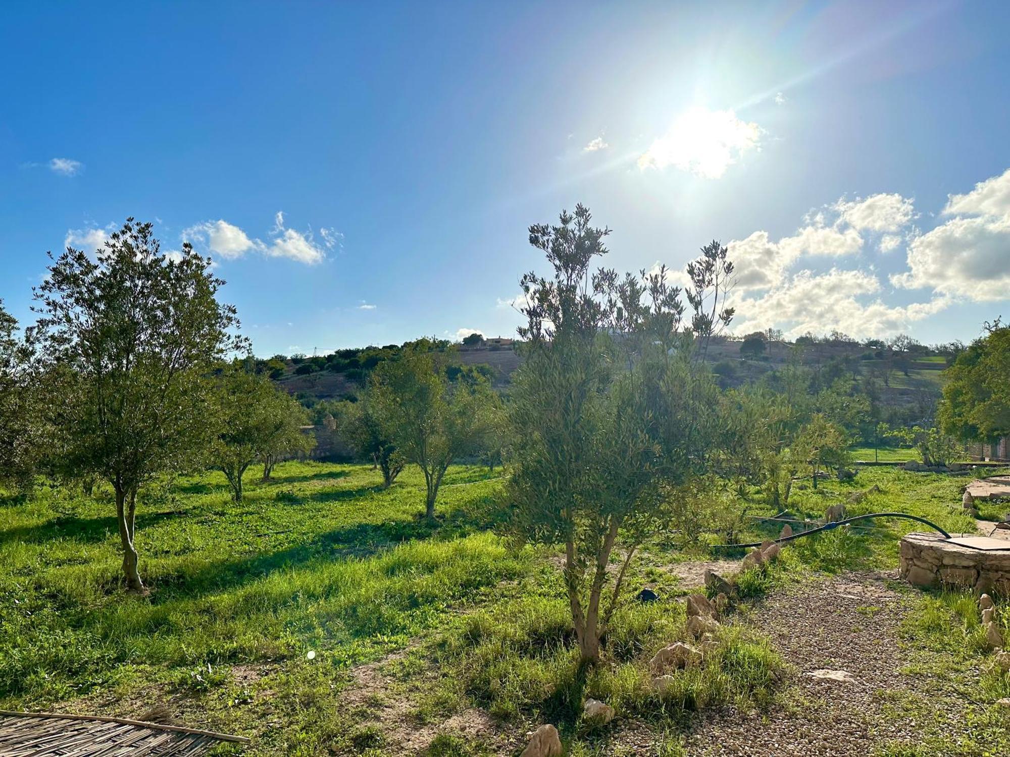 Quiet Oasis Luxury Stone Villa With Panoramic Views Near Esauira Exterior foto